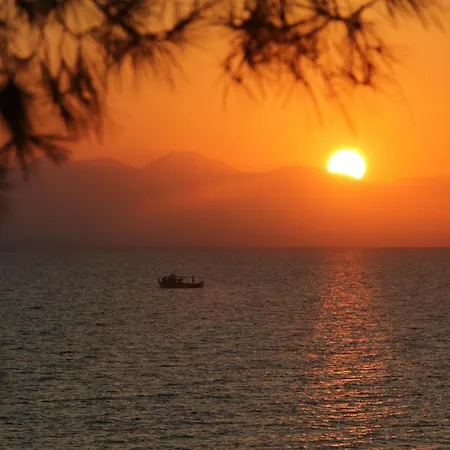 Stamiris Vasilikos (Zakynthos)