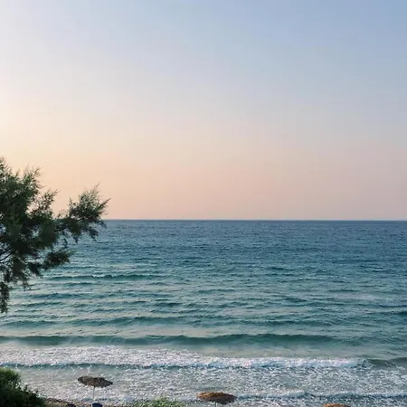 Stamiris Vasilikos (Zakynthos)