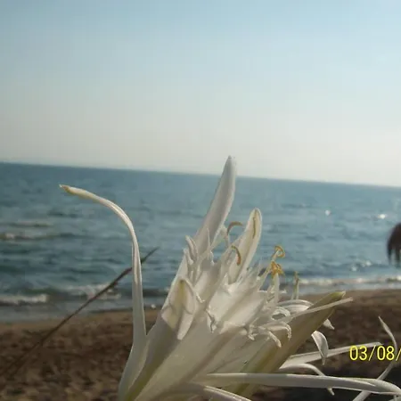 Stamiris Hotell Vasilikí