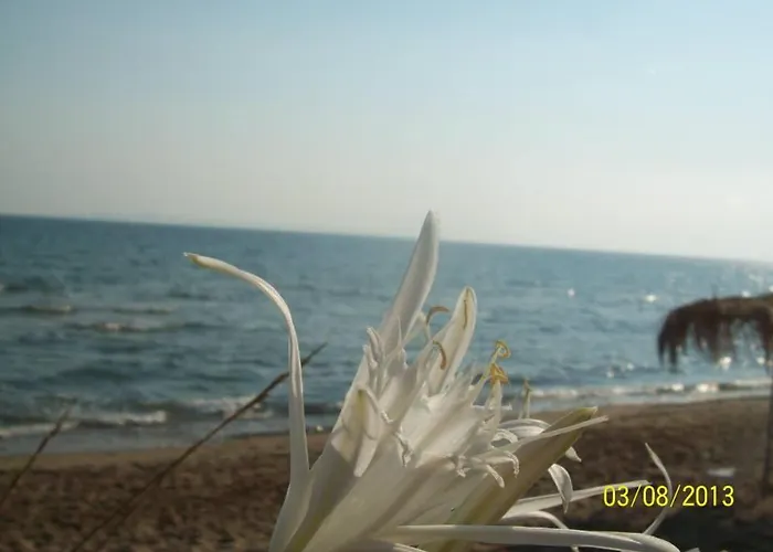 Stamiris Hotel Vasilikí